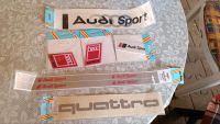 Audi Sport Quattro Aufnäher Aufkleber Patch 80 90 100 200 Vi Sachsen - Zschopau Vorschau