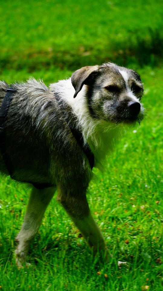 Leica sucht ihr Zuhause in Rennertshofen