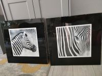 2 Zebra Bilder von Ikea 50x50cm Nordrhein-Westfalen - Bergheim Vorschau