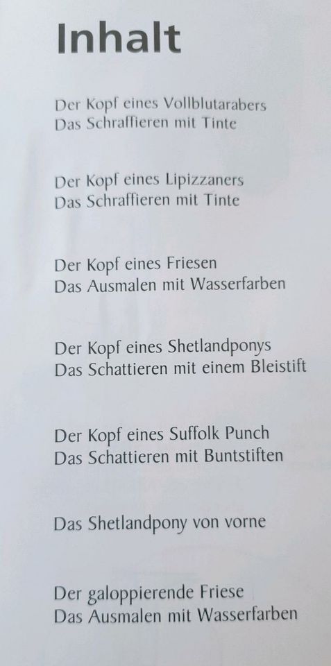 Pferde zeichnen Schritt für Schritt  von Milja Holländer in Großschirma