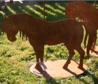 Pferd Pony Rost auf Bodenplatte Garten Deko 44 x 30 cm Nordrhein-Westfalen - Paderborn Vorschau
