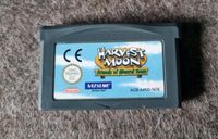Nintendo Gameboy Advance Harvest Moon Friends of Mineral Town Niedersachsen - Tespe Vorschau