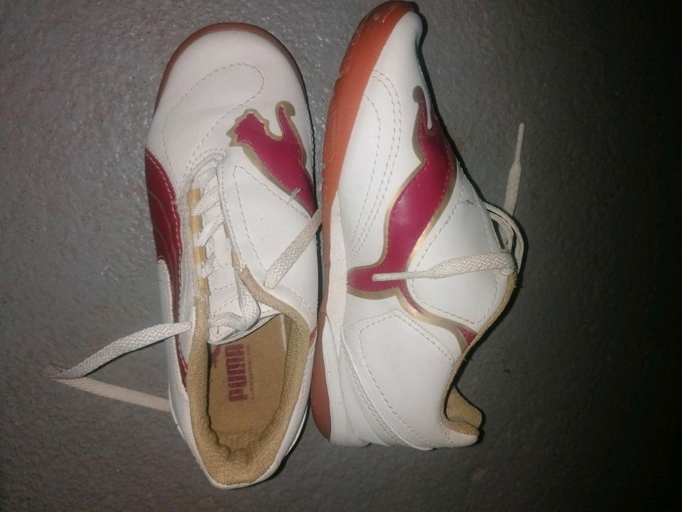 Puma Sportschuhe/Sneakers Gr.29 Neu in Hammelburg