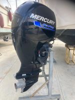 Mercury Sea Pro 150  HM9XM03.02GB  Bootsmotor Hessen - Rosbach (v d Höhe) Vorschau