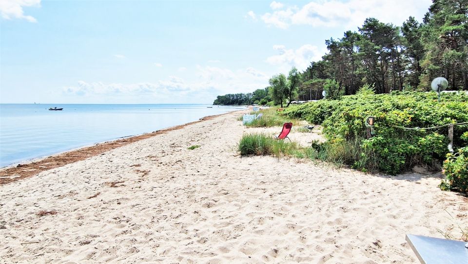 Ferienwohnungen - Naturcamping Rügen Pritzwald in Zudar