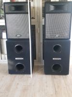 Syrincs MM 12B Pa Subwoofer / Bass Rcf L12p300 Peavey  pro Niedersachsen - Barßel Vorschau