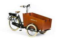 NEU Bakfiets CargoTrike Cruiser Wide Steps Lastenrad elektrisch Niedersachsen - Ahnsen Vorschau