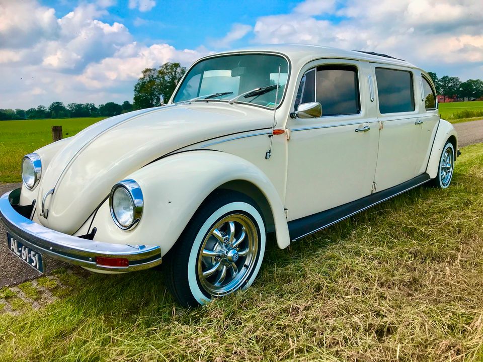 Hochzeitsauto Oldtimer Stretch käfer limousine zu vermieten in Bad Bentheim