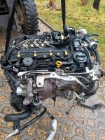 Motor Opel b16dth b16dtl 1.6cdti Insignia Astra Meriva B Komplett Frankfurt am Main - Westend Vorschau