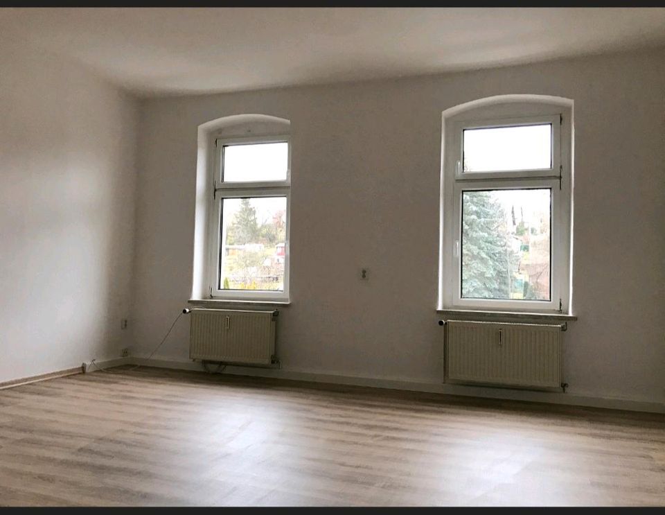 Schöne helle 3 Zimmer Wohnung in Heidenau 91qm in Heidenau