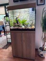 Aquarium komplett 120l Wandsbek - Hamburg Bramfeld Vorschau