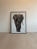 Fotodruck Elefant 71x100cm(BxH) Bild mit Rahmen Rheinland-Pfalz - Budenheim Vorschau