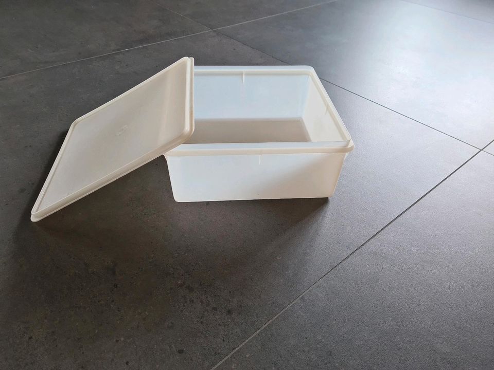 Tupperware große Box 33x33 cm in Horn-Bad Meinberg