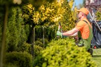 Gartenarbeiten, Zaunbau, Gala Bau Niedersachsen - Rosengarten Vorschau