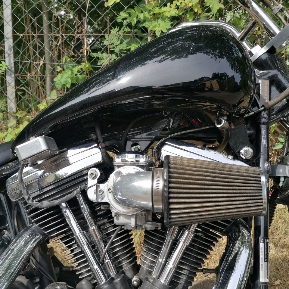 Harley Davidson Softail Custom in Koblenz