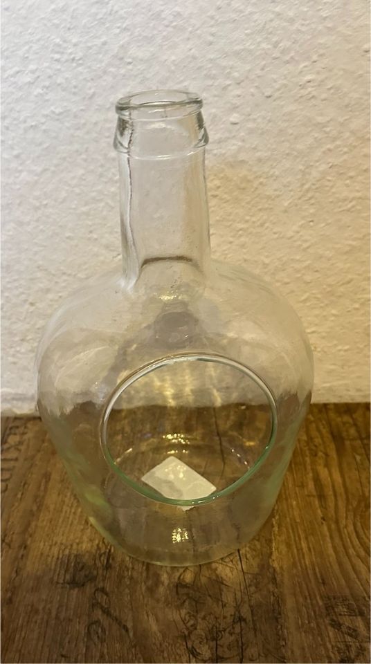 Glasflasche für Pflanzen, Flaschengarten in Dinslaken