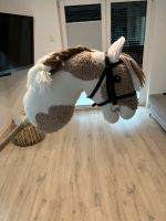 Hobby Horse Hessen - Willingshausen Vorschau