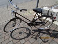 Hollandrad Batavus  Damenrad 28 Zoll Retro Retrorad Nordrhein-Westfalen - Gelsenkirchen Vorschau