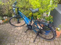 E-Bike Traveler Kettler Freiburg im Breisgau - Umkirch Vorschau