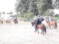 Ferienaktionen mit Ponys,  Schnupperkurse Niedersachsen - Giesen Vorschau