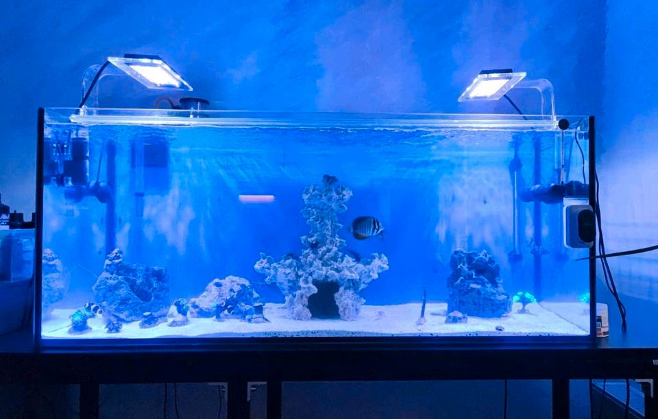 1 Meerwasser Led Lampen von Zetlight für Aquarien (22 Watt) in Schkopau