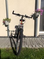 Fahrrad Damen Dresden - Gompitz Vorschau