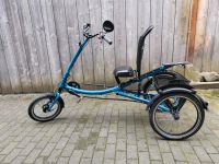 Pfautec Scooter Trike von März 2024 Dreirad Nordrhein-Westfalen - Burscheid Vorschau