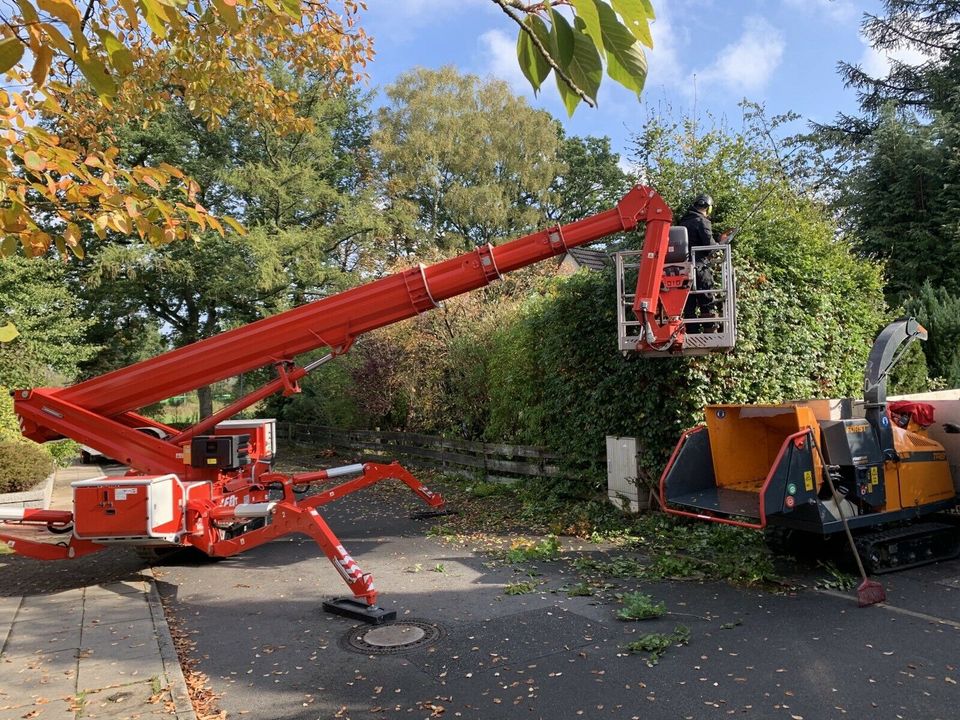 ⚠️Baumpflege,Hubsteiger,Seilklettertechnik⚠️Baumfällung❌, Bagger Sturmschaden Baumschnitt Brennholz vertikutieren in Ellerau 