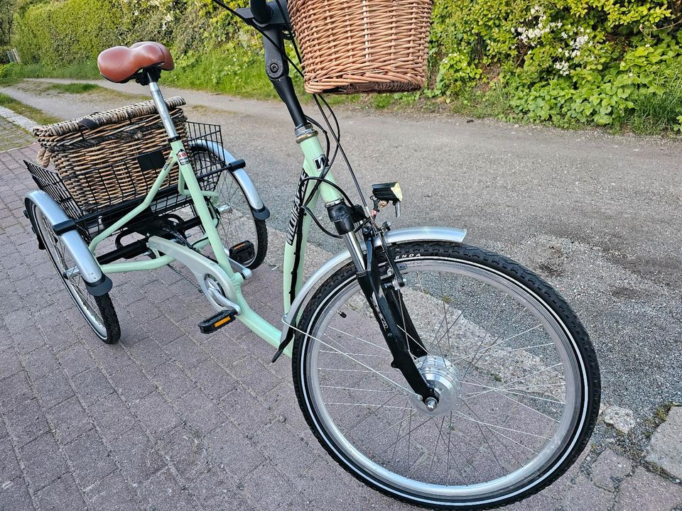 Dreirad für Erwachsene Elektro, Lastenrad Wild Eagle 1400€ in Kiel