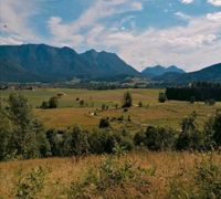 Tolles Freizeitgrundstück in Inzell zu verkaufen Bayern - Traunstein Vorschau