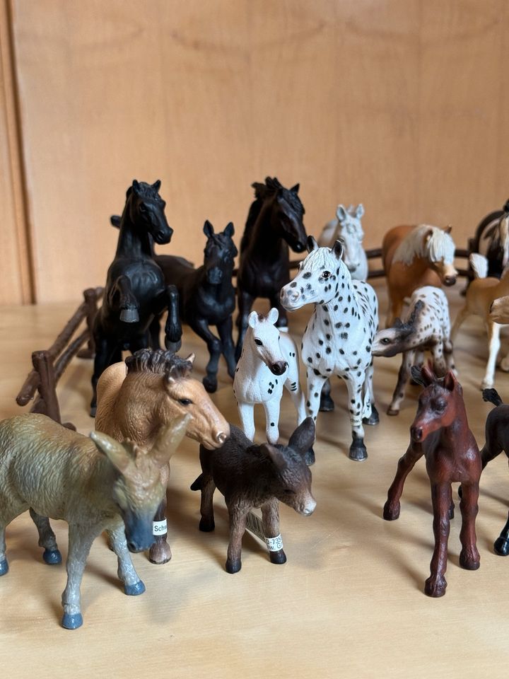 Schleich Pferde Esel Hengst Schleichtiere in Neukirchen-Vluyn