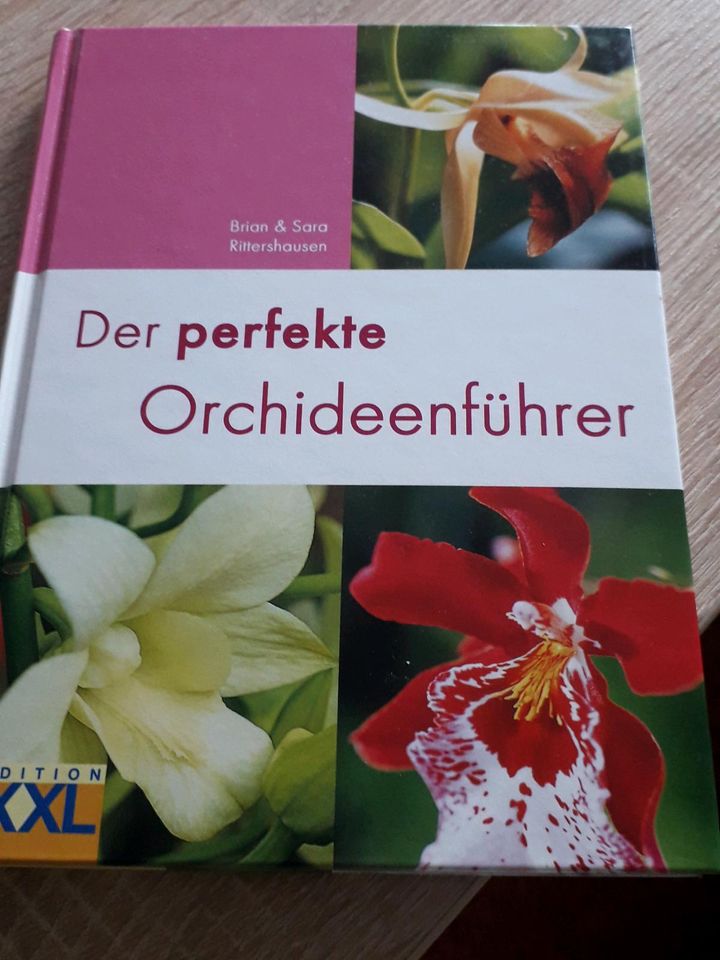 Orchideen  Buch  neuwertig in Delitzsch