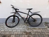 Specialized Cross Trail Fahrrad Bayern - Dießen Vorschau