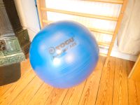 Gymnastikball Powerball ABS, blaul, 55cm Hamburg-Mitte - Hamburg St. Georg Vorschau