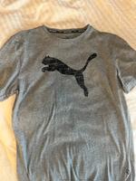 Puma t shirt grau 175 Nordrhein-Westfalen - Wesel Vorschau