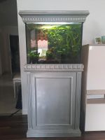 120 l Aquarium mit Schrank aus massiv Holz München - Laim Vorschau