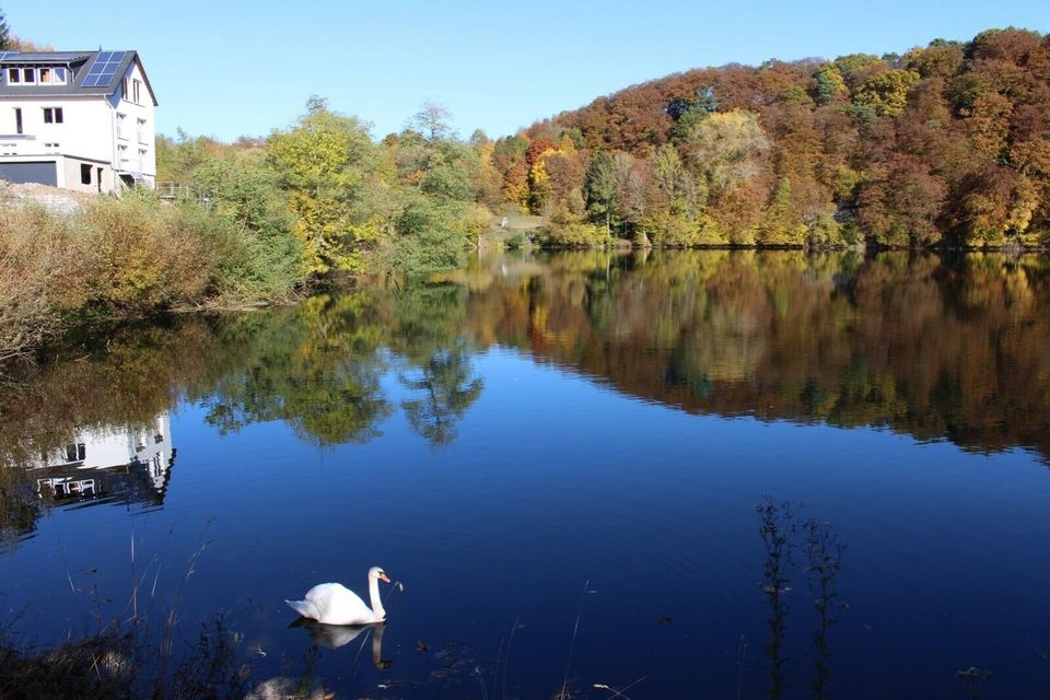 Direkt am See - Studio f. Singles u Paare, die es kuschelig mögen in Ulmen