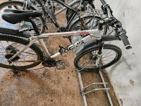 Mountainbike Rahmengröße L Bayern - Schweinfurt Vorschau