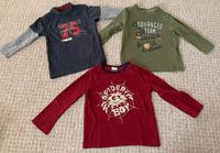 Jungs Pullover Sweatshirt Set Rot Grün Blau Größe 86/92 Brandenburg - Luckau Vorschau