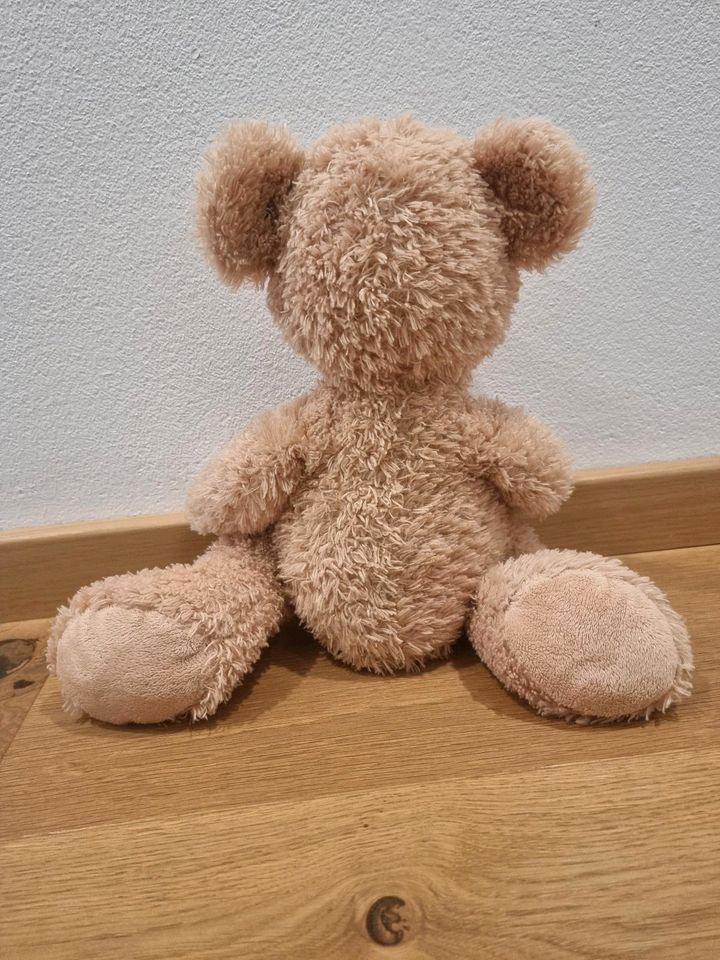 Teddybär Steiff "Finn" in Dresden