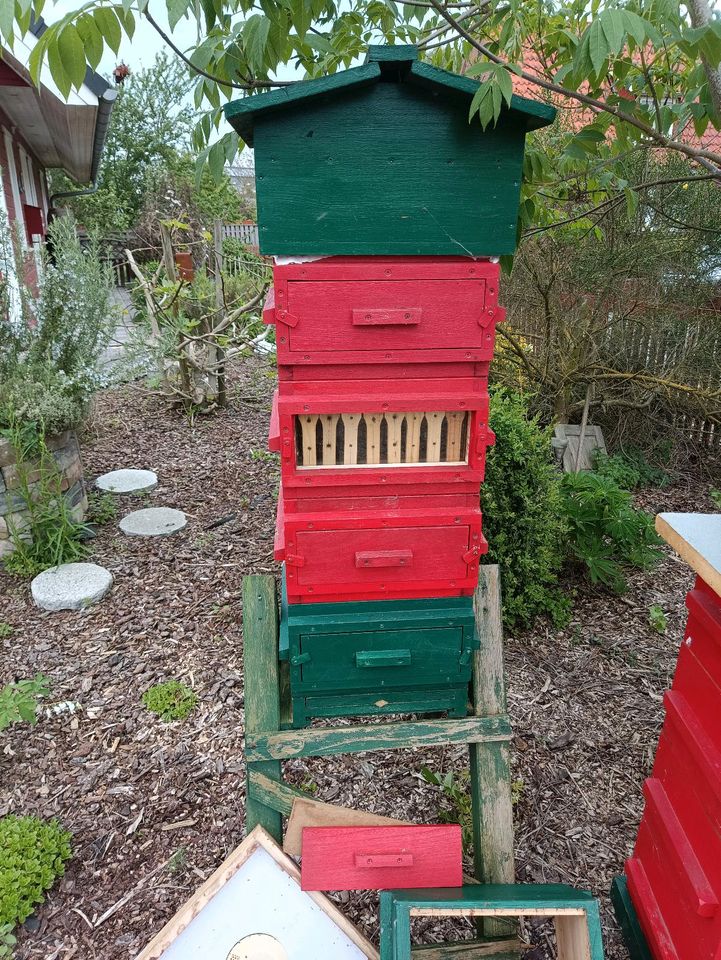 Bienen Warre' Beute, Holzbeute Bienenbeute in Wischhafen
