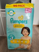 Pampers Bigpack Größe 4 Bayern - Monheim Vorschau