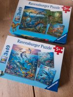 Ravensburger puzzle 2 stück Niedersachsen - Beverstedt Vorschau