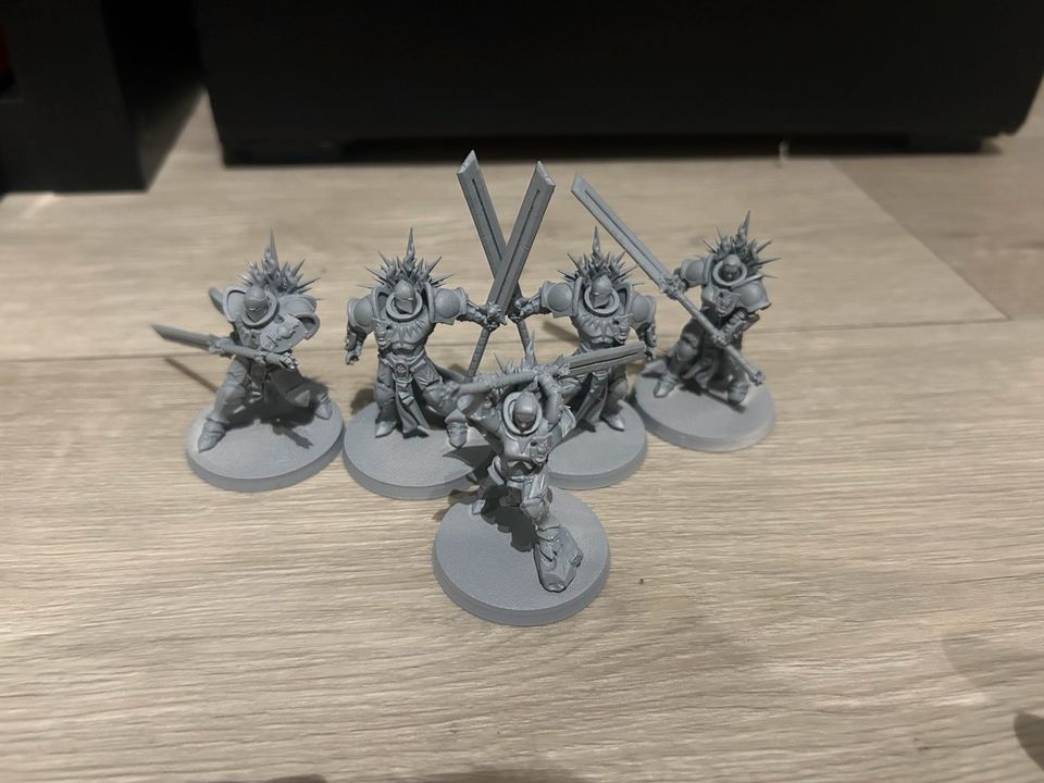 Warhammer Age of Sigmar Stormcast Eternals Proxi in Marl