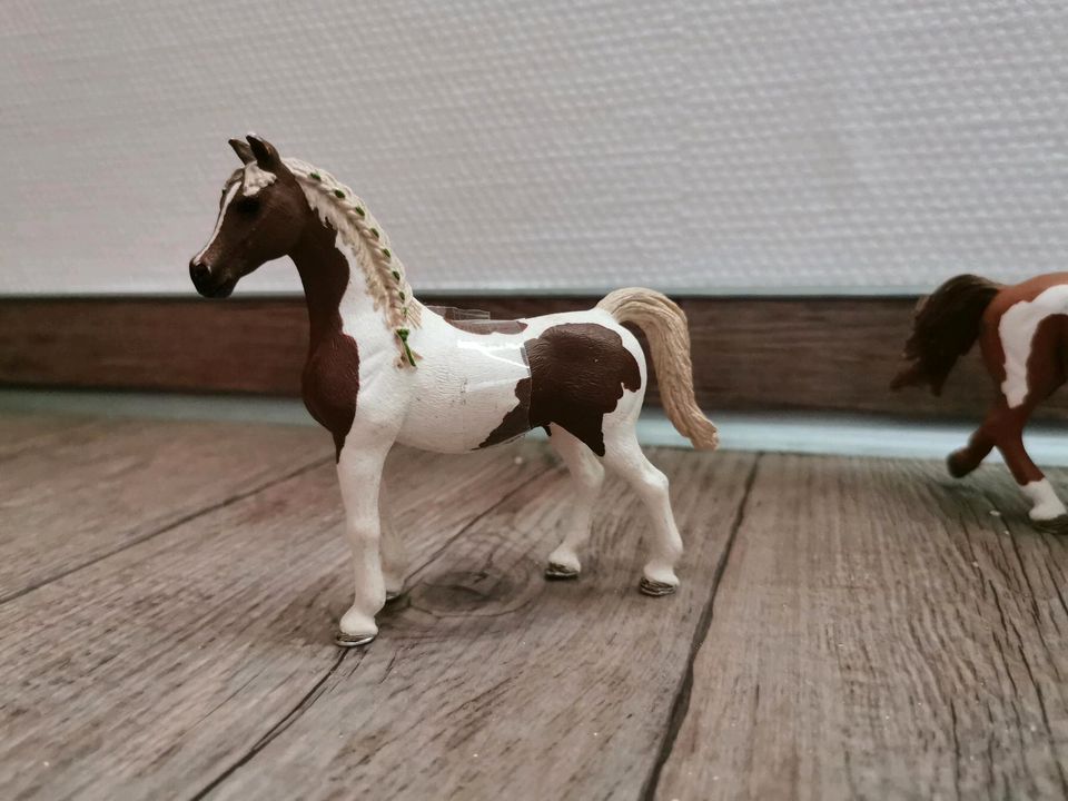 Schleich Pferde Pony Fohlen Border collie Welpe in Redwitz a d Rodach