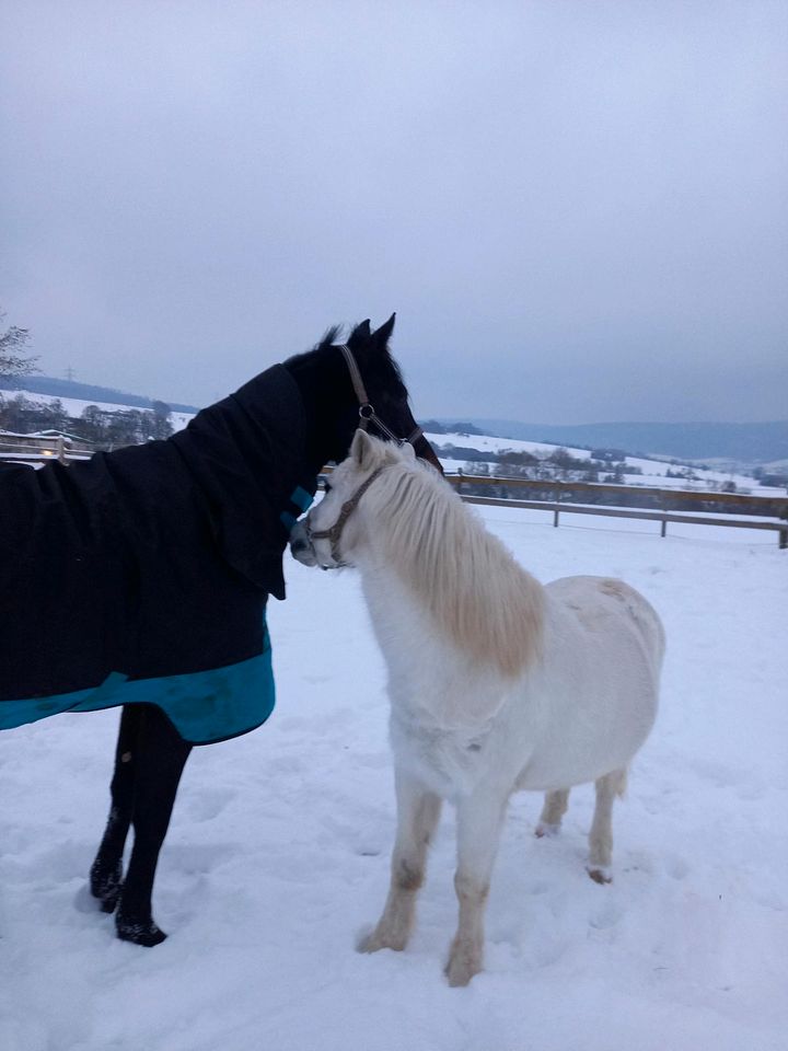 Amigo Winterdecke 1,10m 300g wie neu in Melsungen