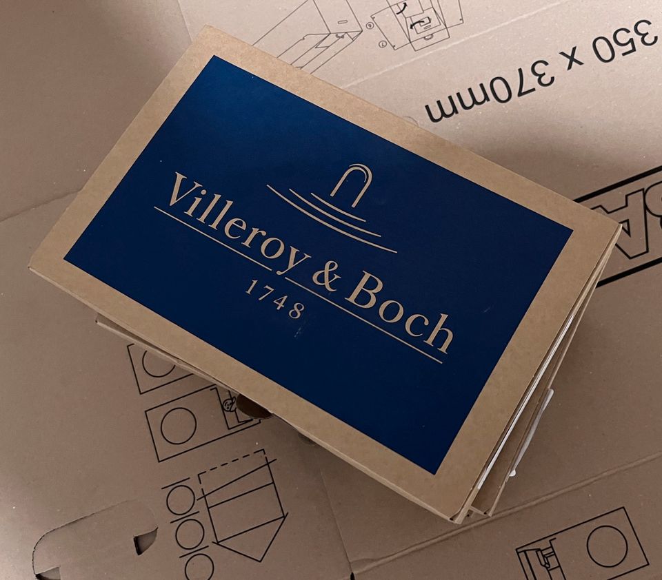 villeroy und boch viconnect e200 in Schwarzach