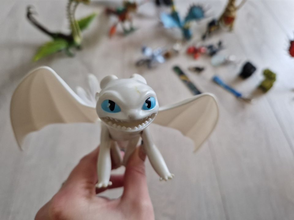 Dreamworks Dragons Ohnezahn Drachenhüten leicht gemacht Drachen in Ahrensfelde