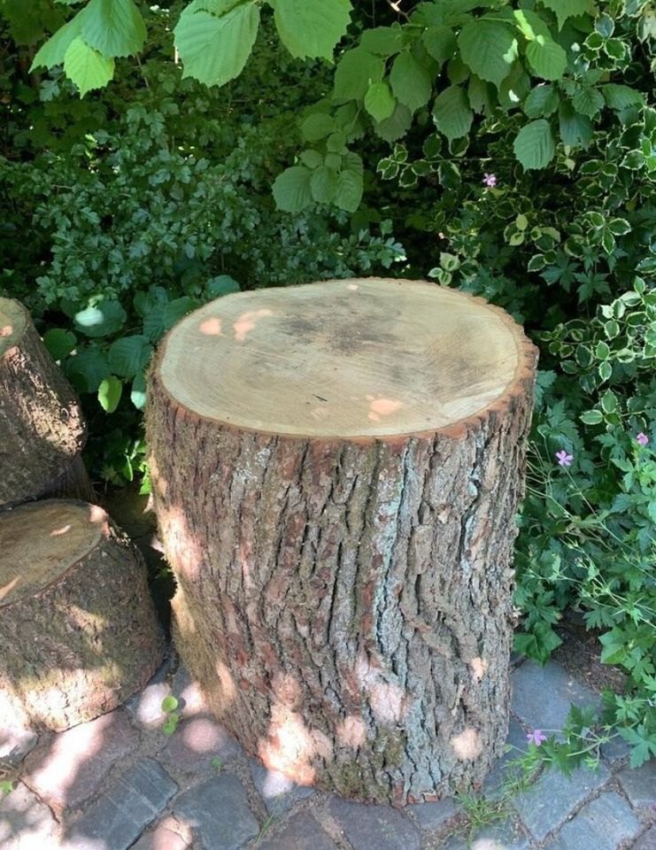 Hauklotz Spaltklotz Holzklotz Brennholz spalten Hackklotz in Norderstedt