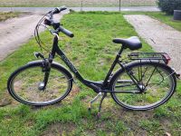 Damen Fahrrad Nordrhein-Westfalen - Espelkamp Vorschau